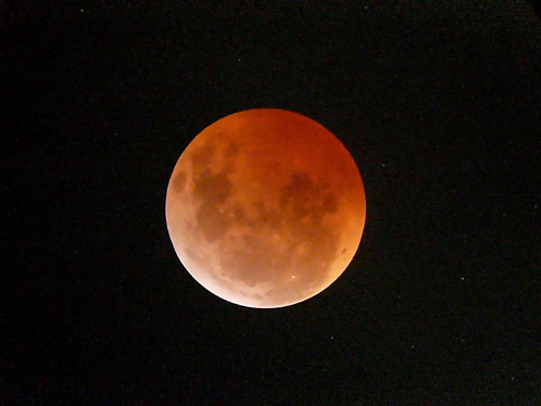 Afocal photo of lunar eclipse taken at 07:59 UT on December 21, 2010